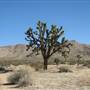 Saddleback Butte State Park (SP)