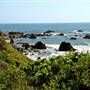 Westport-Union Landing State Beach (SB)