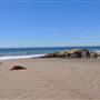 Leo Carrillo State Park and Beach (SP)