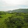 San Bruno Mountain State Park (SP)