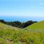Mount Tamalpais State Park (SP)