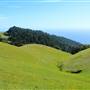 Mount Tamalpais State Park (SP)