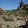 Vasquez Rocks Natural Area and Nature Center