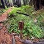 Limekiln State Park (SP)