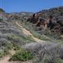 La Piedra State Beach @ Robert H. Meyer Memorial State Beach (SB) - CFC