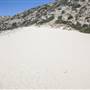 Point Mugu State Park (SP) – Sandy Dune