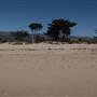 Carpinteria State Beach (SB)
