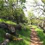 Trione-Annadel State Park (SP)