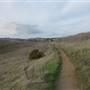 Benicia State Recreation Area (SRA)
