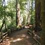 Big Basin Redwoods State Park (SP)