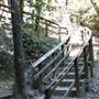 Big Basin Redwoods State Park (SP)