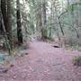 Bothe-Napa Valley State Park (SP)
