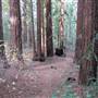 Bothe-Napa Valley State Park (SP)