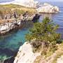 Point Lobos State Natural Reserve (SNR)