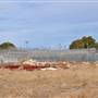 Mira Loma Detention Center