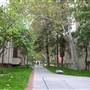 University of Southern California - USC