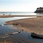 Van Damme State Park (SP) / Beach / Pygmy Forest / Fern Canyon Trail / Spring Ranch Trail