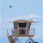 Bolsa Chica State Beach (SB) & Lifeguard Tower