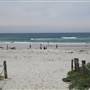 Asilomar State Beach and Conference Grounds