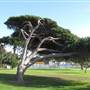 Point Fermin Lighthouse Museum