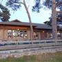Asilomar State Beach and Conference Grounds