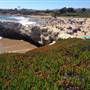Natural Bridges State Beach (SB)