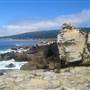 Salt Point State Park (SP)