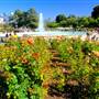 Exposition Park Rose Garden