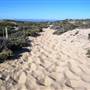 Salinas River State Beach (SB)