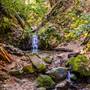 Portola Redwoods State Park (SP)