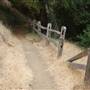 Samuel P. Taylor State Park (SP)