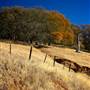 Mount Diablo State Park (SP)