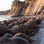 Schooner Gulch State Beach (SB) / Bowling Ball Beach