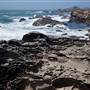 Salt Point State Park (SP)