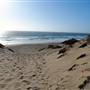 Marina State Beach (SB)