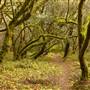 Rancho Del Oso and Waddell Beach @ Big Basin Redwoods State Park (SP)