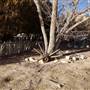Antelope Valley Indian Museum State Historic Park (SHP)
