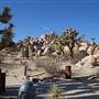 Antelope Valley Indian Museum State Historic Park (SHP)