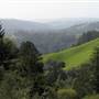 Portola Redwoods State Park (SP)
