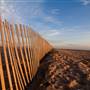 Bolsa Chica State Beach (SB) & Lifeguard Tower