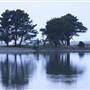 Arcata Marsh and Wildlife Sanctuary