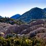 Devil's Punchbowl