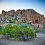 Joshua Tree National Park - NPS