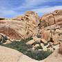 Joshua Tree National Park - NPS