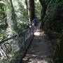 Crystal Cave (Sequoia National Park)