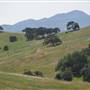Pacheco State Park (SP) and Windmill Farm / Wind Energy