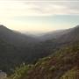 Pfeiffer Big Sur State Park (SP)