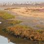 Bolsa Chica Ecological Reserve - California Department of Fish & Wildlife (CDFW)