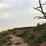 Bolsa Chica Ecological Reserve - California Department of Fish & Wildlife (CDFW)