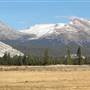 Tuolumne Meadows